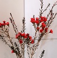 雷锋表弟