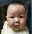 狼掌柜