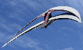 xrn900