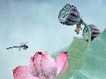 四季如春