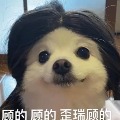 huangxiaofang16
