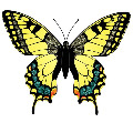 zjs123
