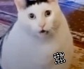 驰骋