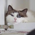 jackishere